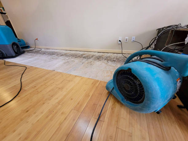 Professional Water Damage Repair technician working in North Bonneville, WA